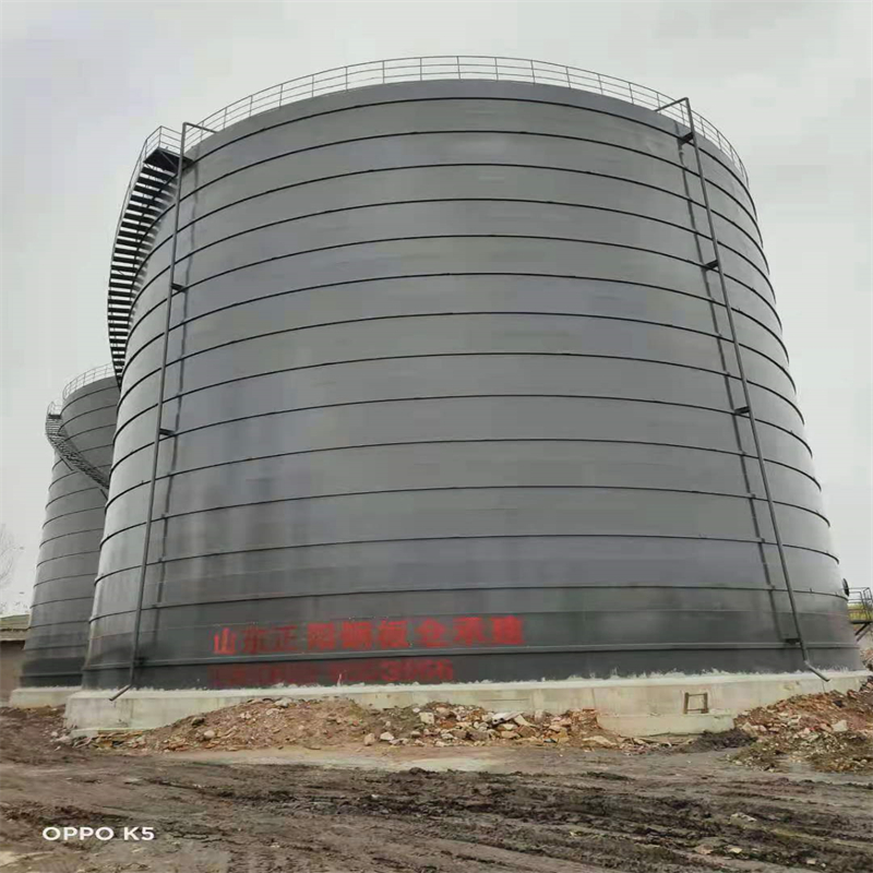 林周3万吨大型钢板库