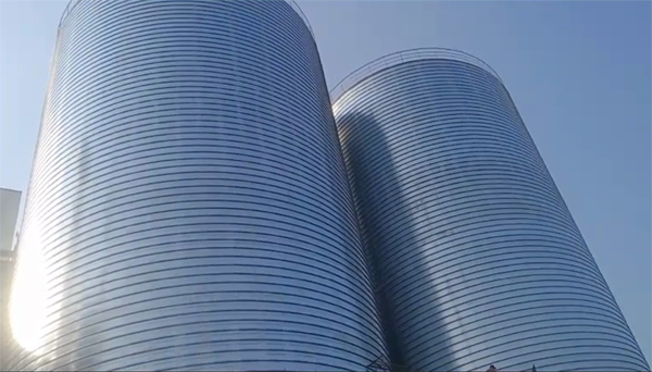 林周2座混凝土高架卷板仓